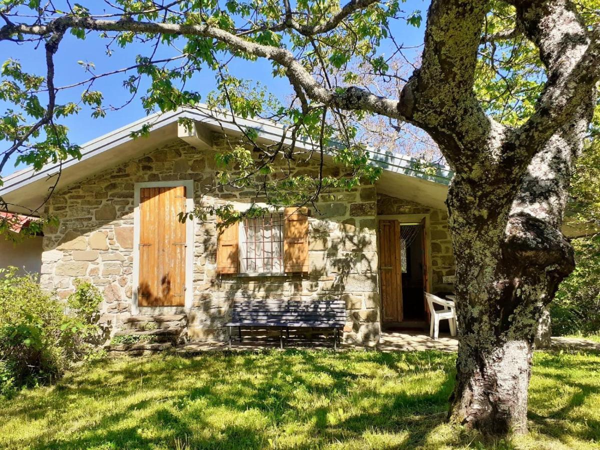 Borgo Castelluccio Country House Порретта-Терме Екстер'єр фото